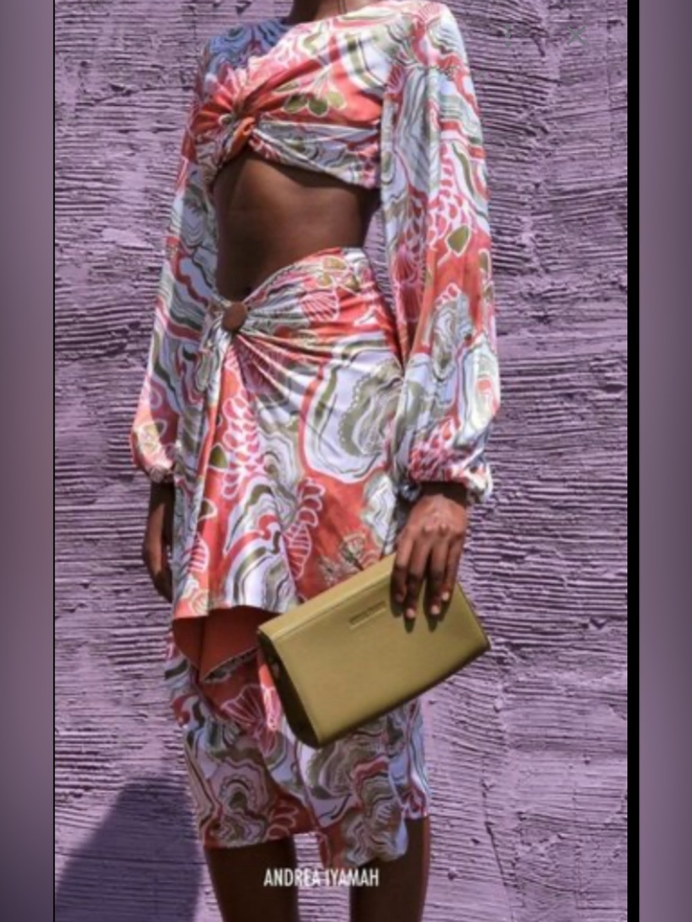Andrea Iyamah Behati Mushroom Print 2 Piece Set Skirt & Crop Top S NWT